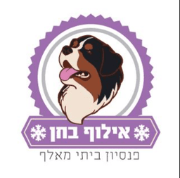 אילוף בחן