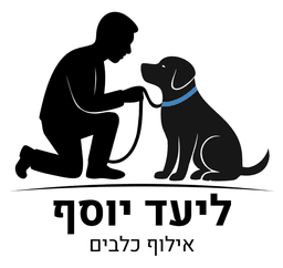 ליעד יוסף אילוף כלבים